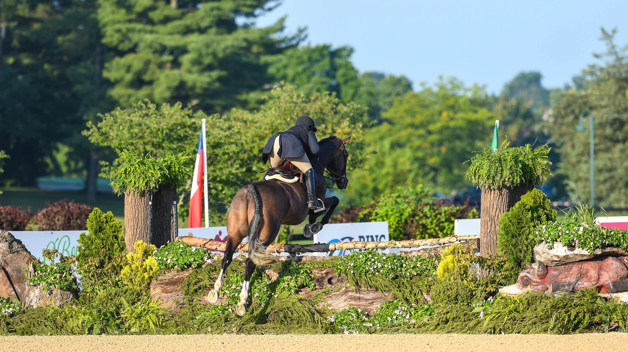 Horse Welfare At Derby Finals One Focus Of USHJA Town Hall The