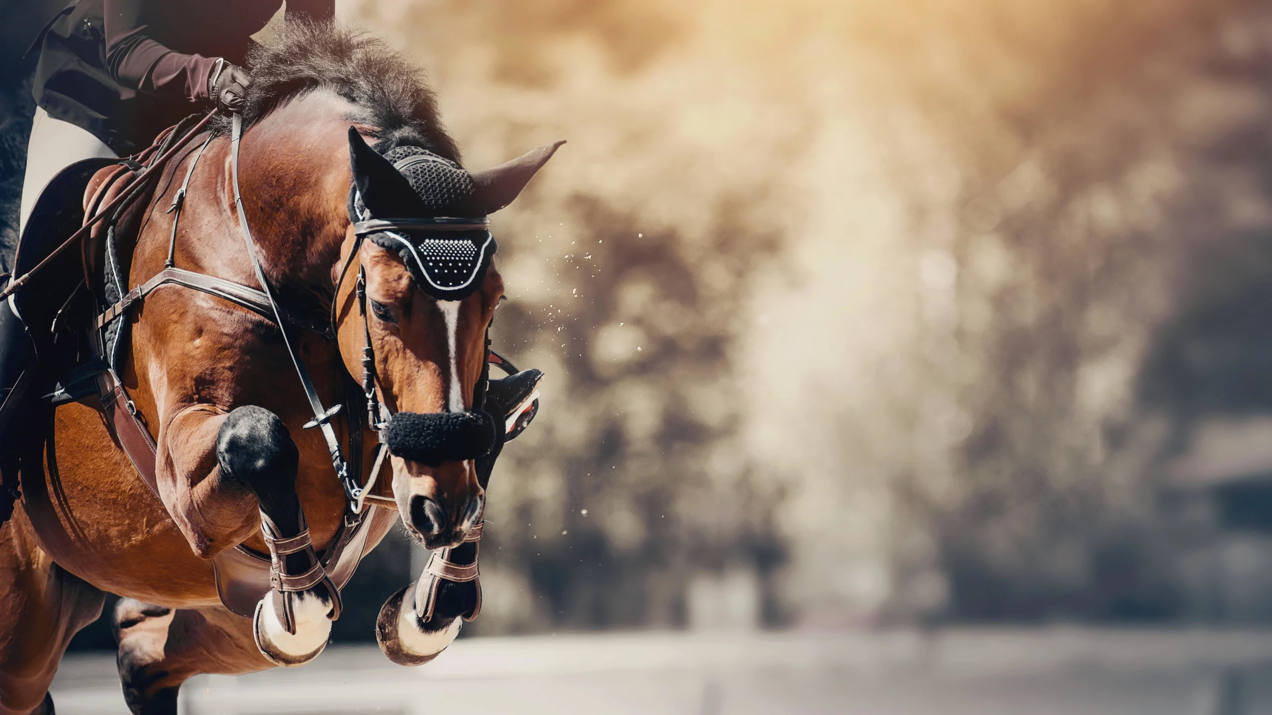 Overuse Data Graph How Much Is Too Much Showing? USEF Presents Preliminary Overuse Data ...