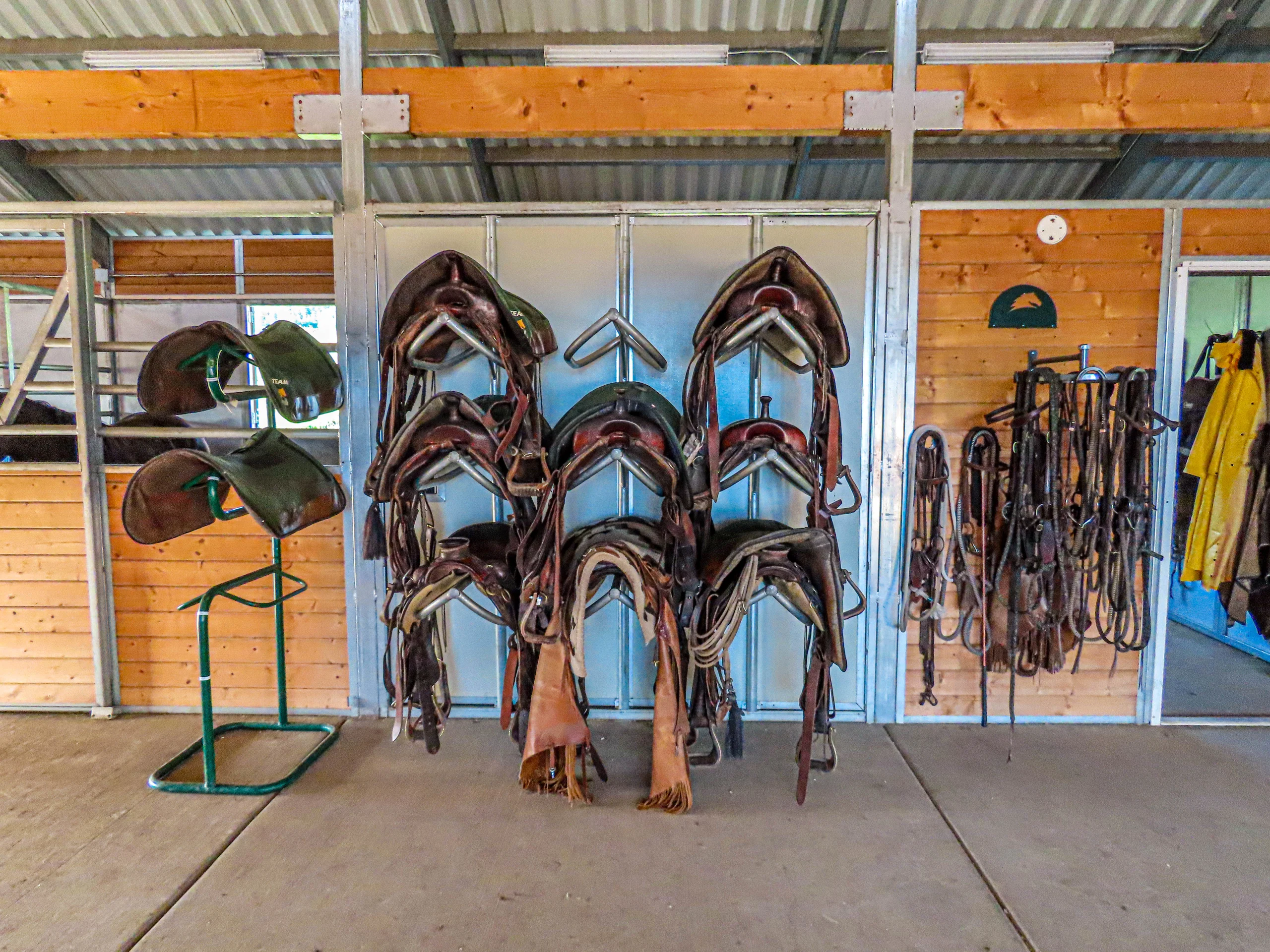 Colorado Horse Ranch For Auction - The Chronicle of the Horse