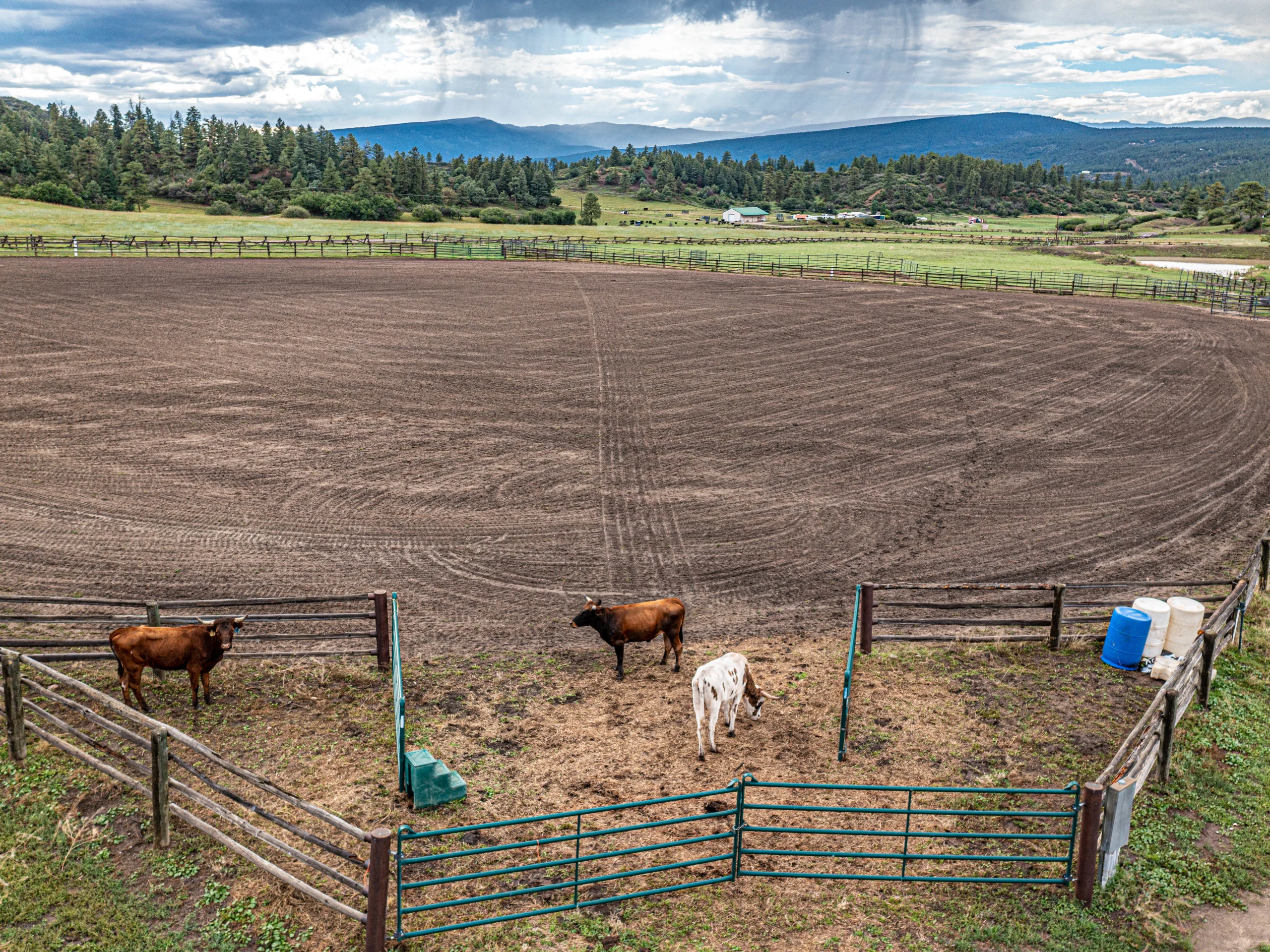 Colorado Horse Ranch For Auction - The Chronicle of the Horse