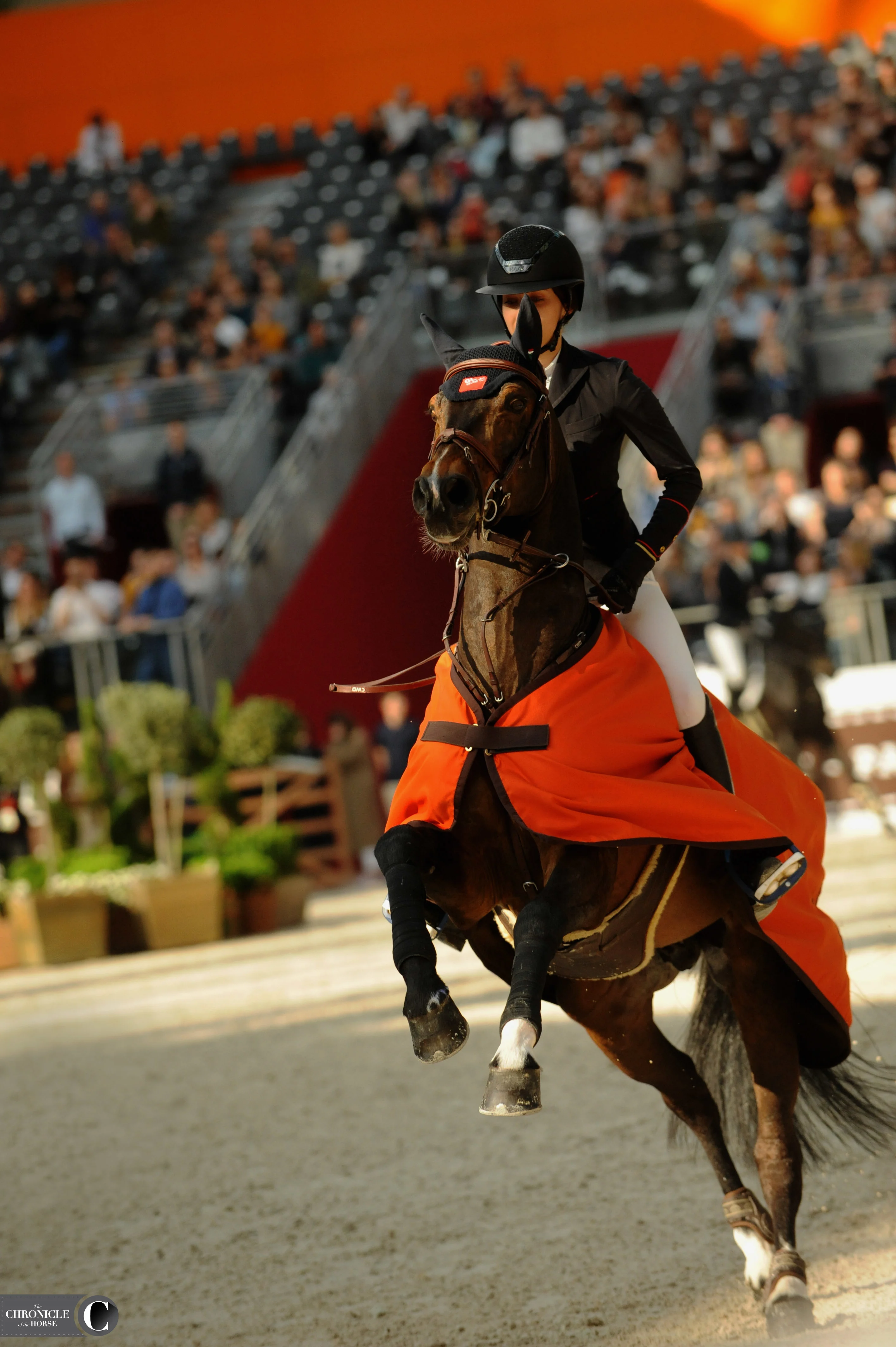 First look at the Hermès Horse exhibition