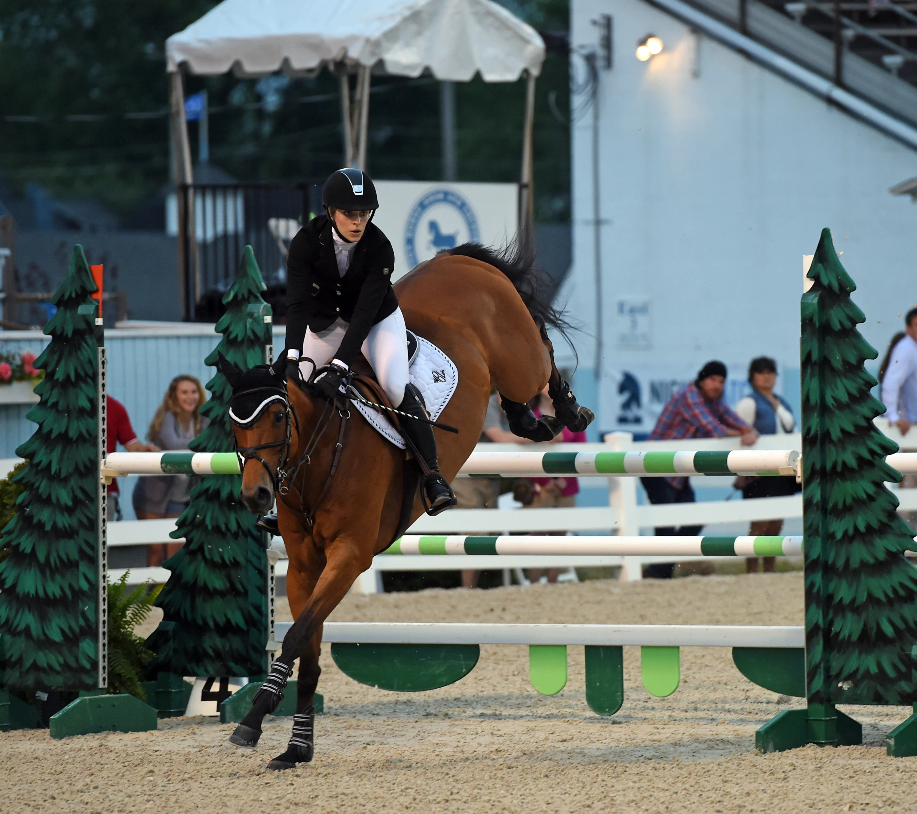 Maureen Blackstone and "Devon" attended the 2016 Devon Horse Show. Photo by Mollie Bailey