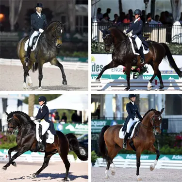 16OGMeetDressageFront2.jpg