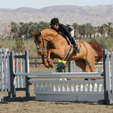 Eventer Gina Miles Turns Hunter Pro At HITS Thermal - The Chronicle of ...