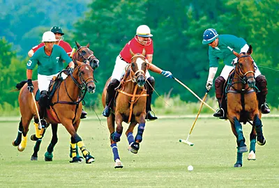 110609Polo.jpg