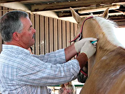 041808HorseCare1.jpg