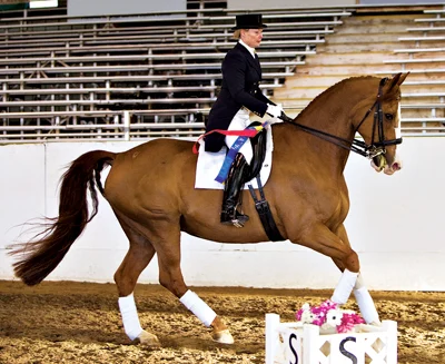 042409Dressage.jpg