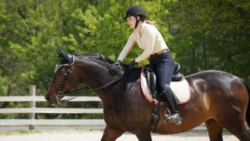 5 Tips For A Better Fitting Bra - The Chronicle of the Horse