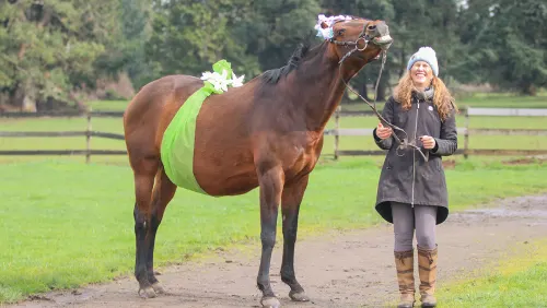 Live From Central Park: I Saw Hoofprints Made In History - The Chronicle of  the Horse