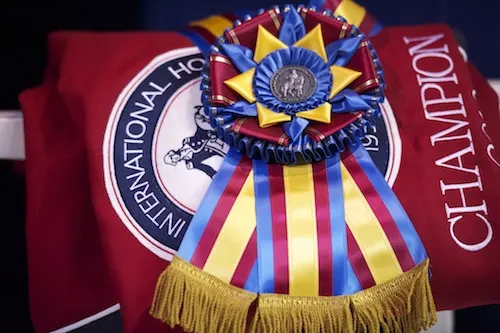 WIHS-Ribbon-Blanket-DSC_1808-AC-lo.jpg