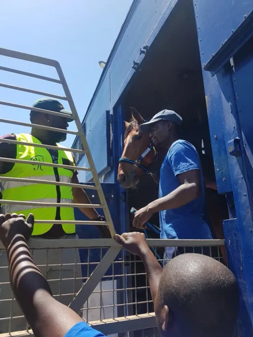 Here he is arriving at the Cape Town Airport ahead of his flight to Mauritius. Photo supplied by Lisa Williams