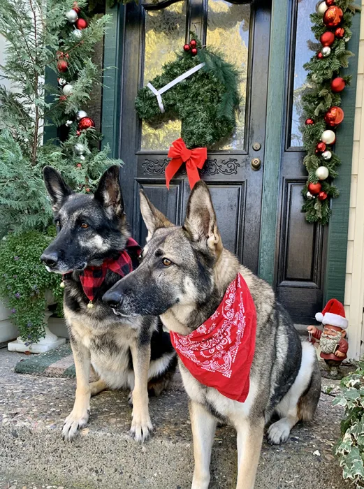 Dude and Babe_Mary B Mockus