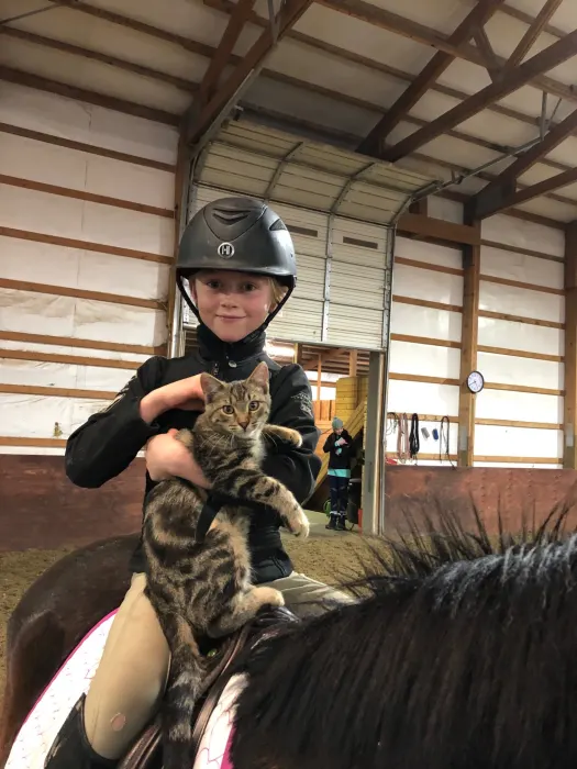 cat IMG_4397