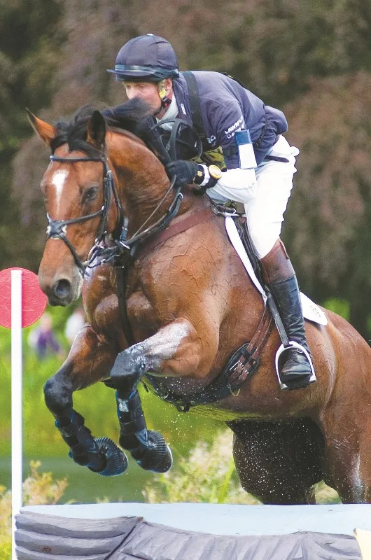 Fox-Pitt-ParklaneHawk.jpg