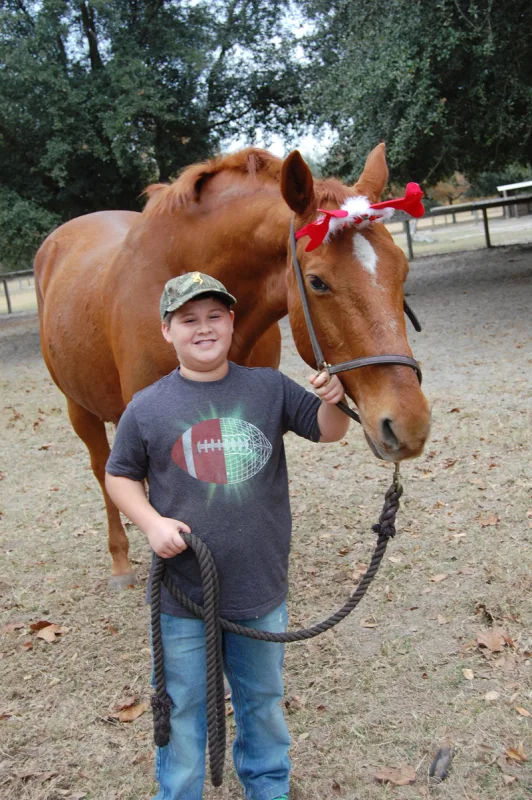 horses Christmas 2016 017