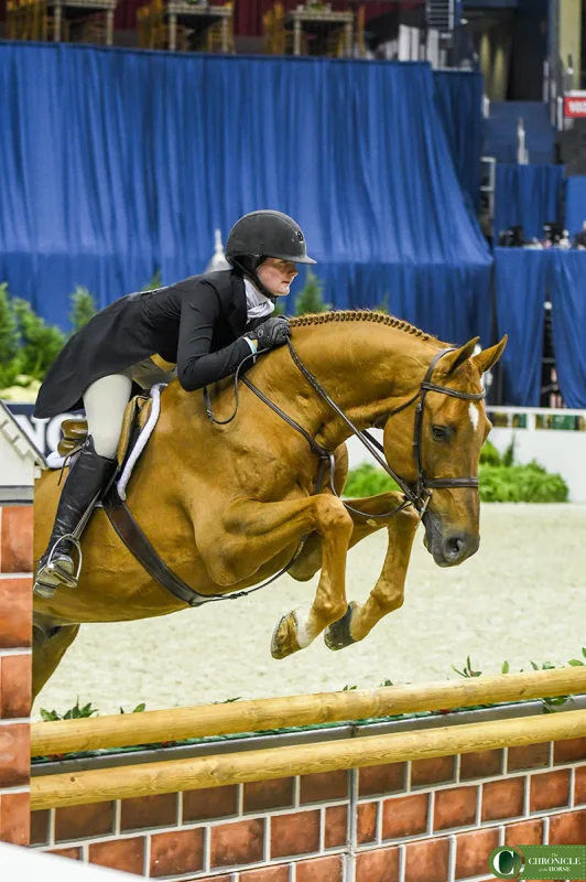 AvaStearns_CartelloZ_LargeJuniorWorkingHunterChampionship_WIHS2018-2