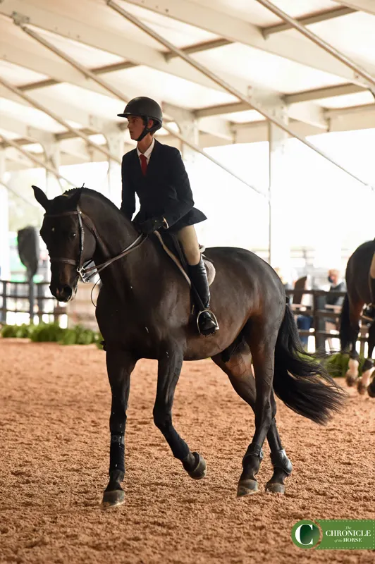 Camper Living Pays Off For Gibbs On Day 1 Of Platinum Performance/USEF