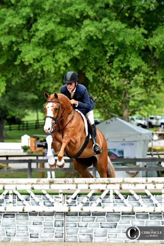 21Upperville_John French_Babylon_KAL_5806