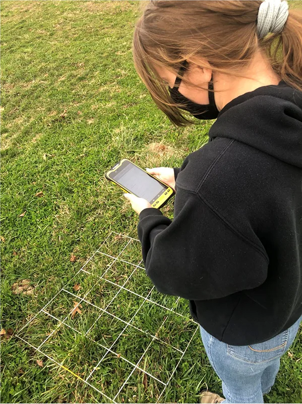 UK Grid Test