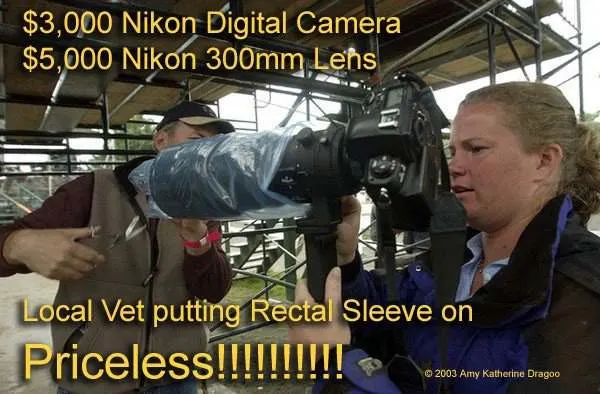 MollySorgecamerarectalsleeve