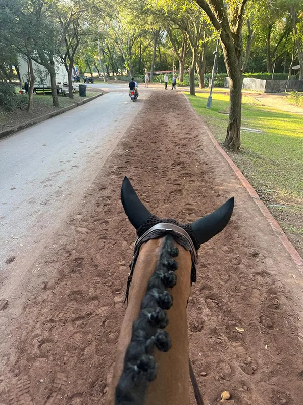 EB Quilana walking home