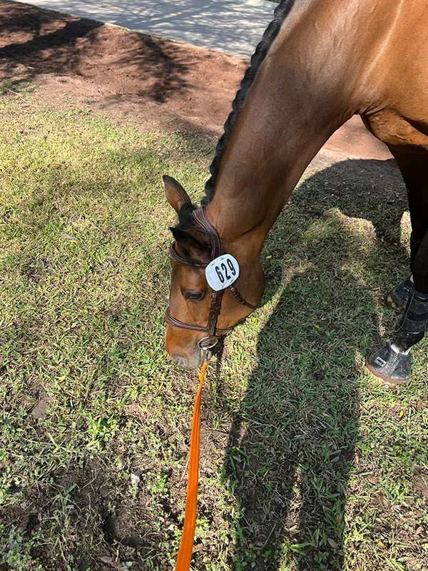 erynnballard wears @@abus_equestrian's AirLuxe Hunter LV 👀 Shop