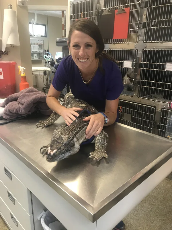 1Black Throated Monitor