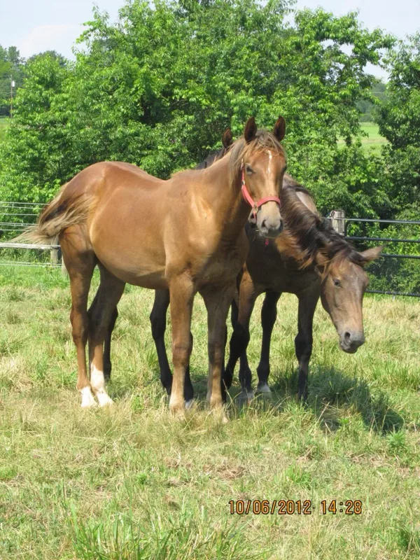 *Manhattan 1 courtesy of Georgina Bloomberg