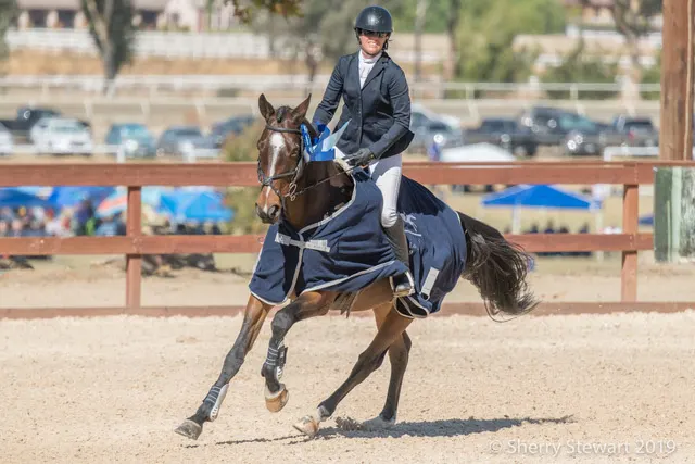 1#14 Sara Mittleider & La Paz Winners Galway CCI4-L-4643