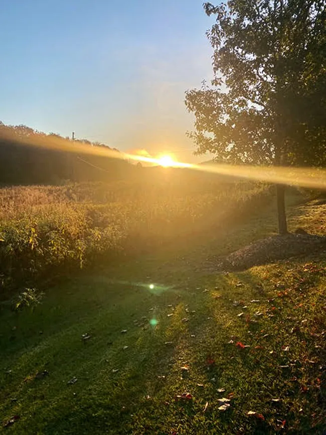 SternlichtSunrise