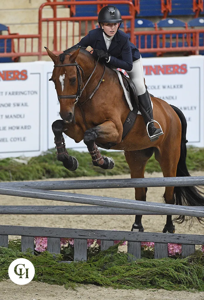 Triple Bar Standards Wood Horse Jumps #203– Platinum Jumps