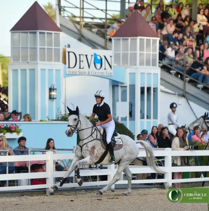 Sport Horse Nation Spotlight: Dappled Greys for Days  Eventing Nation -  Three-Day Eventing News, Results, Videos, and Commentary