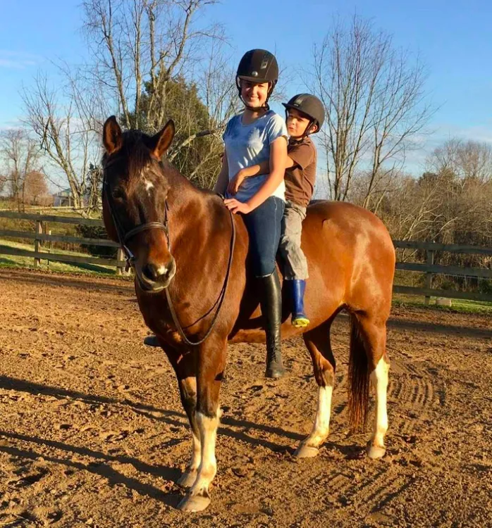 Oliver the family horse