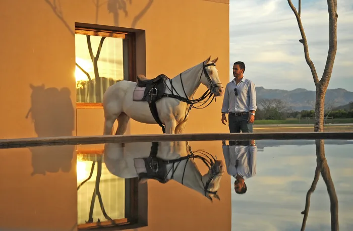 From Polo Ponies To Infinity Pools - The Chronicle of the Horse