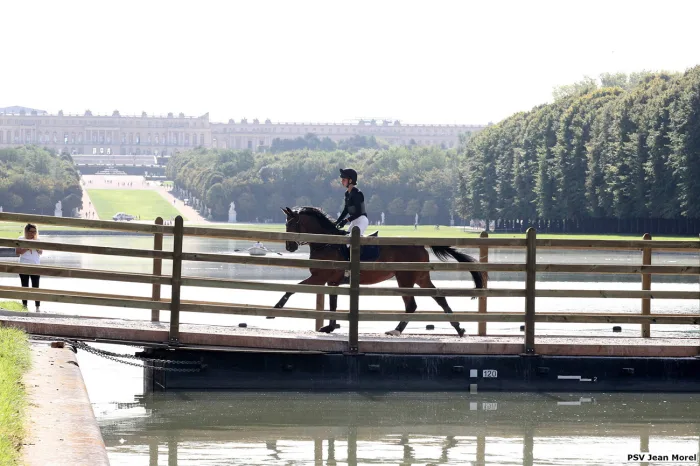 FEI Updates List Of Teams Qualified For Paris 2024 - The Chronicle of ...