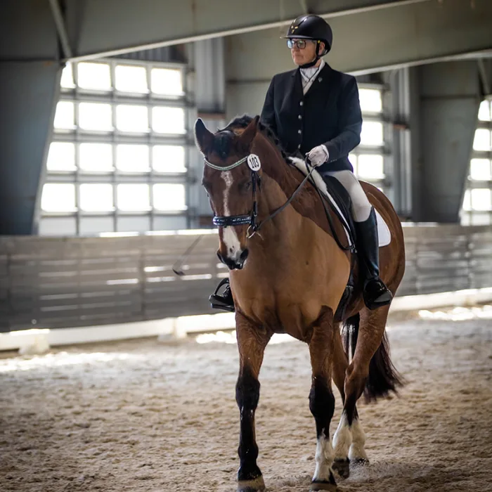 Shopping For A Dressage Horse In Europe: An Amateur's Experience - The  Chronicle of the Horse