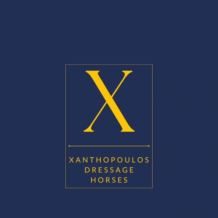 XDH-Logo-Frame-2.9.254t