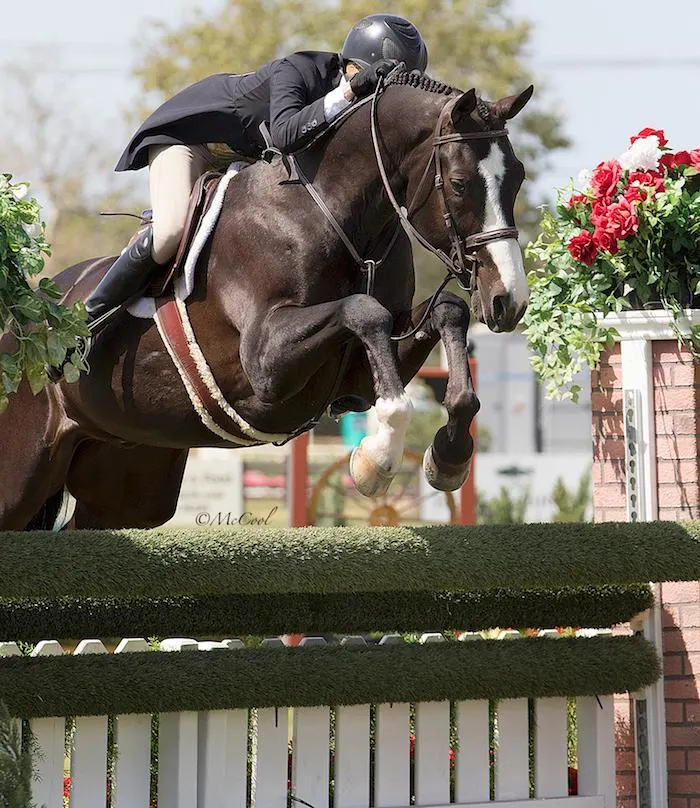 2018-spring4-hunter-derby-jenny-k-really-jumping