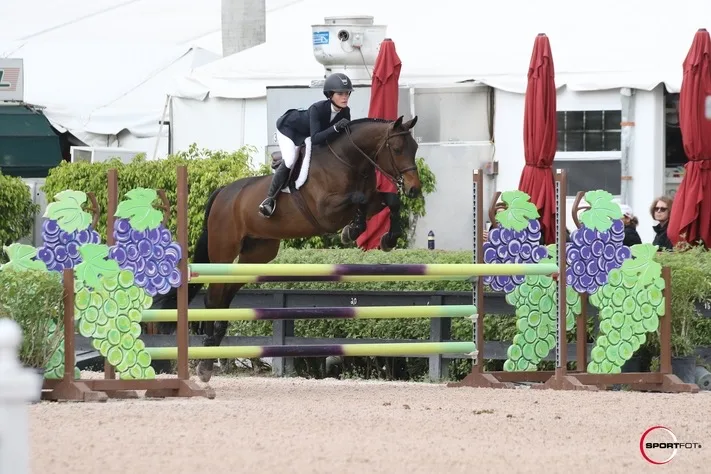 04/03/2020 ; Wellington FL ; Winter Equestrian Festival - Week 9