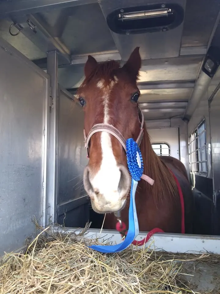 137259490_4077556925629174_259012285697787333_n