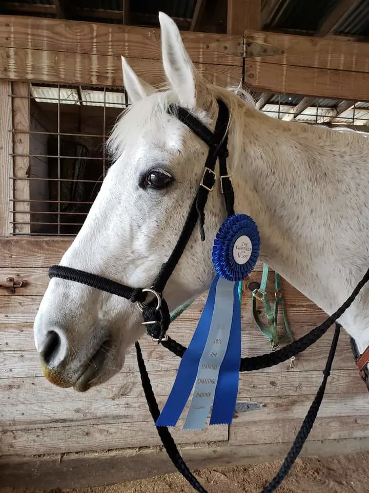 FB_IMG_1610475093604