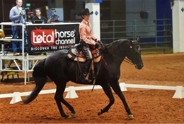 Krista western dressage