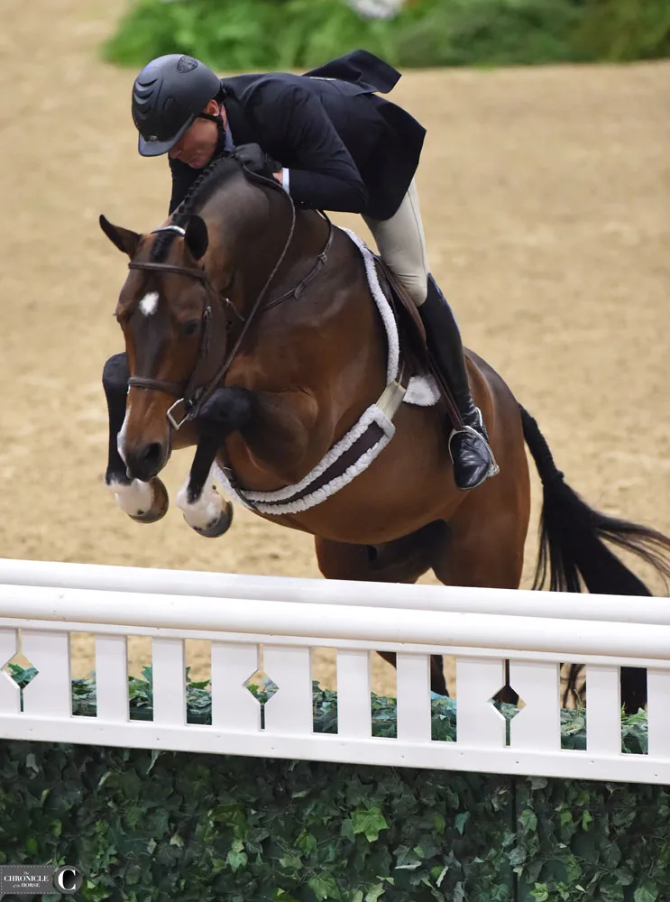 Day One Leaders At The CP National Horse Show - The Chronicle of the Horse