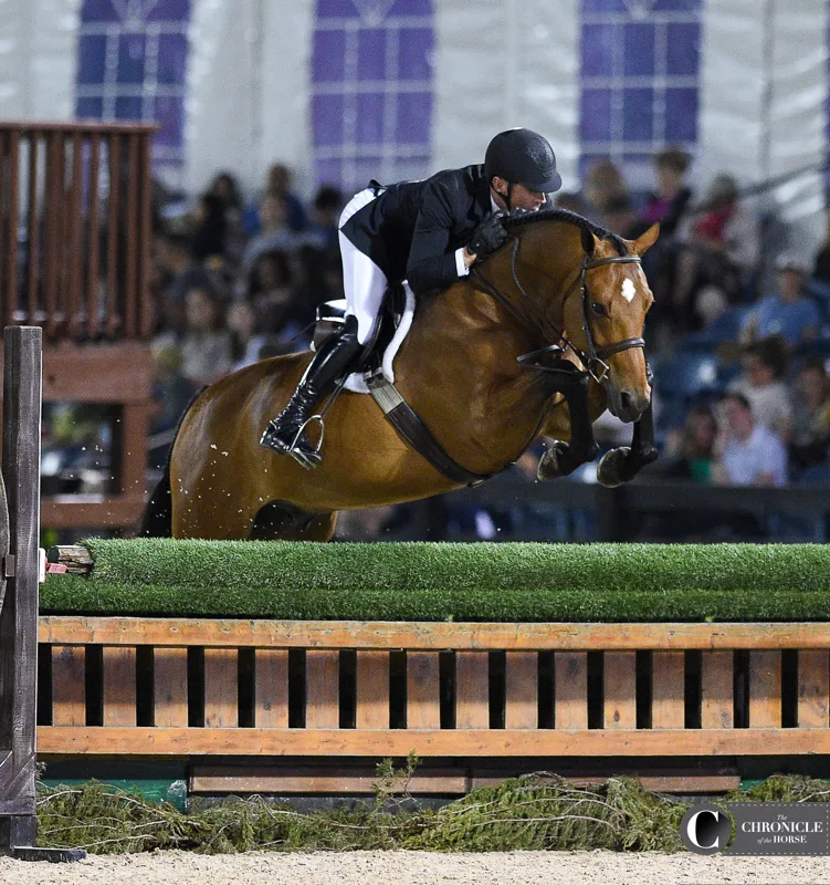 French Ticks WCHR Palm Beach Hunter Spectacular Off The ‘ToBe Won