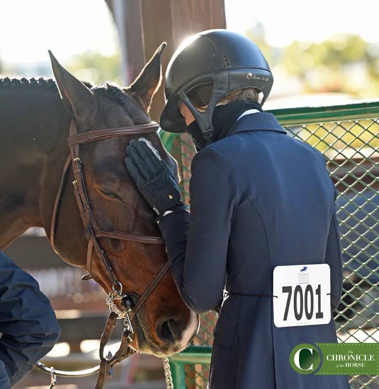 Stearns Leapfrogs To The Top On Day 2 Of Platinum Performance/USEF Show