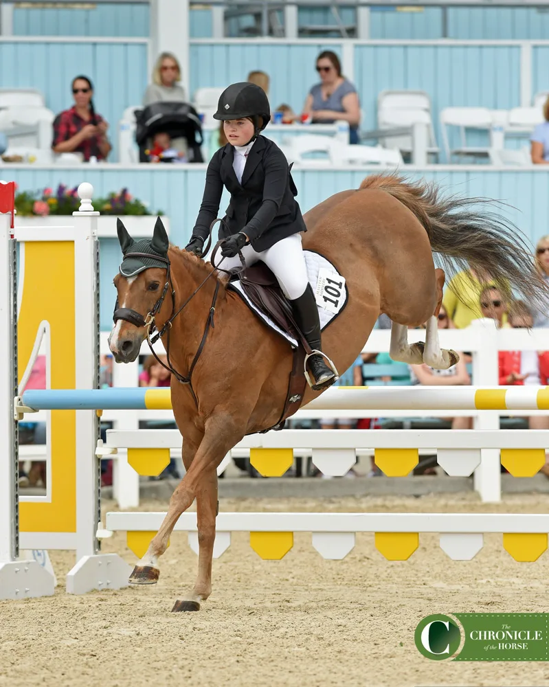 DevonPonyJumper