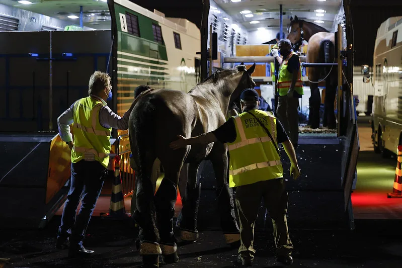 Horse Trailer