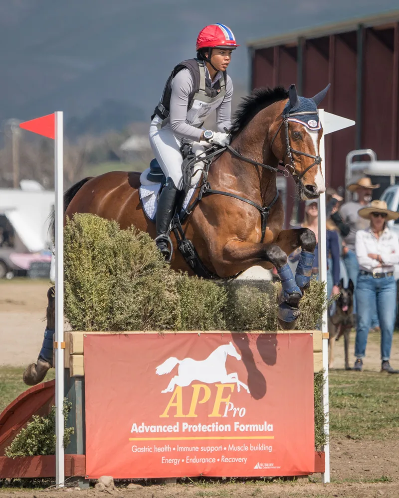 One To Watch: Smith-Cook’s Star Is Rising At Rebecca Farm - The