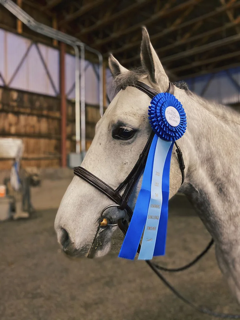 1136379603_855496484994968_7613380333816007133_o