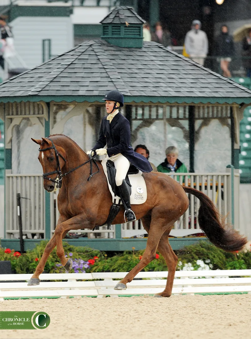 springer-arthur-2010-rolex-kentucky-friday-dressage_0